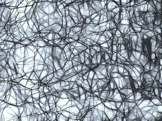 neurons, brain cells, nachahmnung