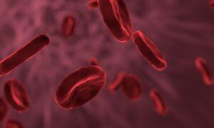 red blood cells, microbiology, biology, Stoffwechsel