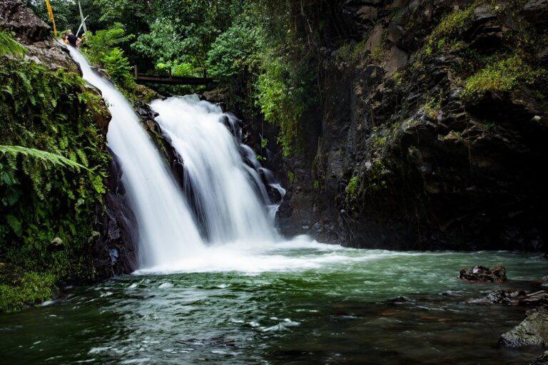 Tropenkrankheiten, Clean Water