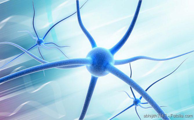 Neuron, KI entschlüsselt Funktion des Gedächtnis. In den letzten Jahren hat die künstliche Intelligenz – oder KI – begonnen, die Welt, wie wir sie kennen, zu revolutionieren