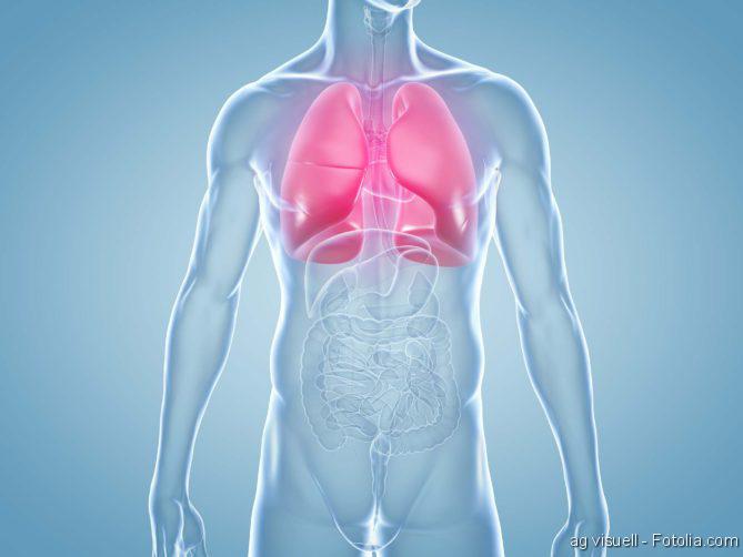 Organmangel, Infektionen bei Organempfängern, Lungenkrebs