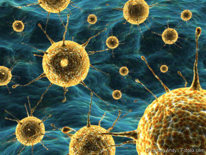 Kampf zwischen Virus und Wirtszelle